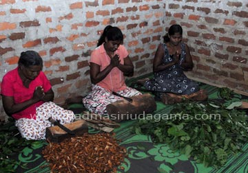 gallery-1