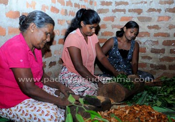 gallery-1