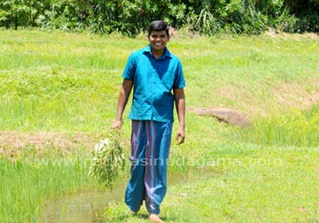 gallery-1